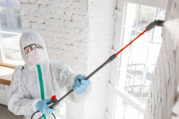 Best Forensic Mold Investigation  in Keewatin, MN